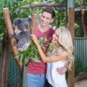 featherdalekoala