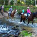 Glenworth Valley Horse Riding
