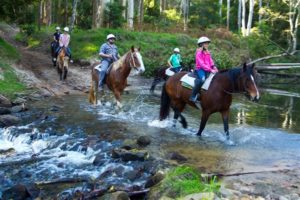 Glenworth Valley Horse Riding