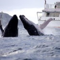 port-stephens_2