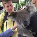 Central Coast Tours Reptile Park