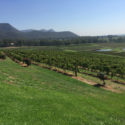 Hunter Valley Wine Tours Brokenback Ranges