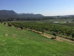 Hunter Valley Wine Tours Brokenback Ranges