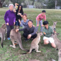 Hunter Valley Wine Tours Kangaroos