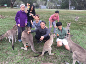 Hunter Valley Wine Tours Kangaroos