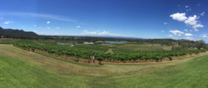 Hunter Valley Wine Tours Scenic Winery