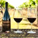 Hunter Valley Wine Tours Vineyard