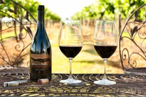 Hunter Valley Wine Tours Vineyard