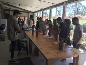 Hunter Valley Wine Tours Wine Tasting