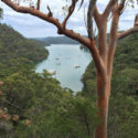 Northern Beaches Tours Kuringgai America Bay