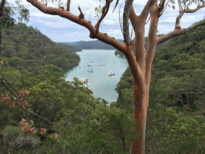 Northern Beaches Tours Kuringgai America Bay