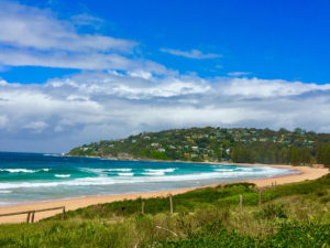 Northern Beaches Tours Palm Beach Mansions