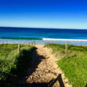 Northern Beaches Tours Palm Beach Path