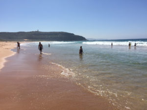 Northern Beaches Tours Palm Beach