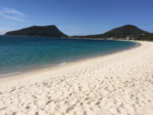 Port Stephens Tour from Sydney Shoal Bay