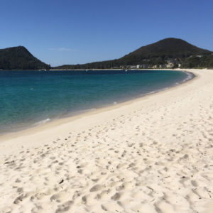 Port Stephens Tour From Sydney Shoal Bay