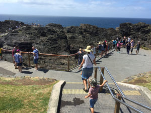 Southern Highlands Tours Kiama Blowhole
